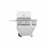 Hestan - Deluxe Gas Grill - Tin Roof 0