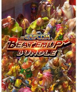 Beat 'Em Up Bundle - Nintendo Switch [Digital]