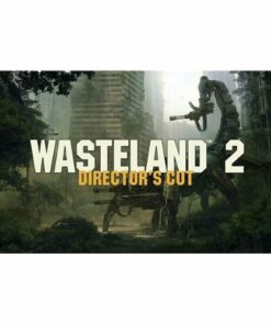 Wasteland 2: Director's Cut - Nintendo Switch [Digital]