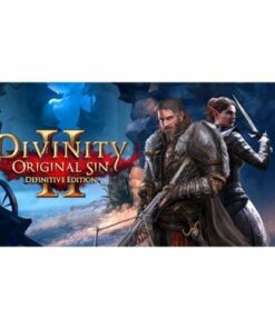 Divinity: Original Sin 2 Definitive Edition - Nintendo Switch [Digital]