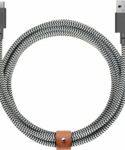 Native Union - 10' USB Type C-to-USB Type A Cable - Zebra