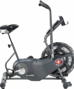 Schwinn - Airdyne AD6 Exercise Bike - Gray