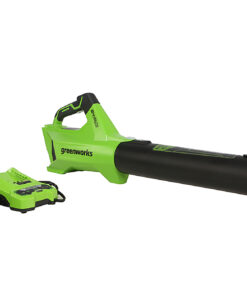 Greenworks - 24-Volt 110 MPH 450 CFM Cordless Blower (4.0Ah Battery & Charger Included) - Black/Green