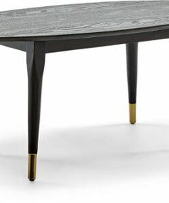 Elle Decor - Clemintine Mid-Century Oval Coffee Table with Brass Accents - Black