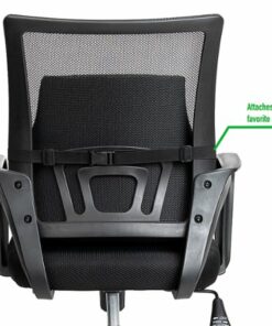Mind Reader - Ergonomic Back Cushion - Black