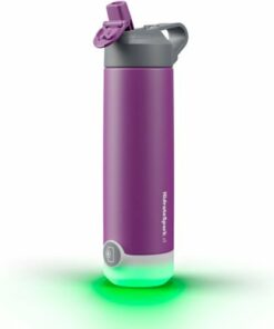 Hidrate - TAP 20oz Stainless Steel Straw Lid - Wildberry