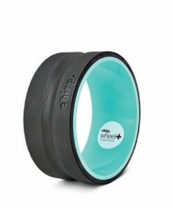 Chirp - Wheel+ 10" Firm - Mint