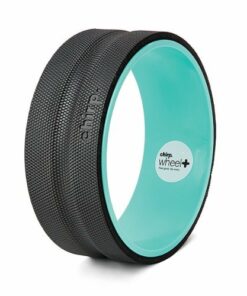 Chirp - Wheel+ 12" Gentle - Mint