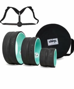 Chirp - Ultimate Back Pain Bundle - Mint