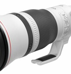 RF 1200mm F8 L IS USM Telephoto Lens for Canon EOS RF Mount Cameras - White