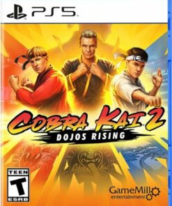 Cobra Kai 2 Dojos Rising - PlayStation 5