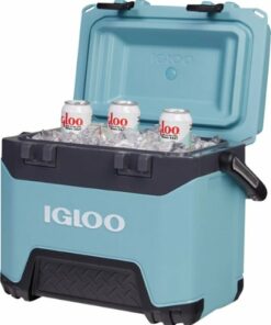 Igloo - BMX 25 Quart Cooler - Celadon