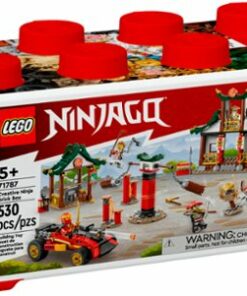 LEGO - NINJAGO Creative Ninja Brick Box 71787