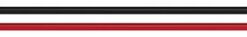 Renogy - 5’ Anderson PP75 and Anderson SB120 6AWG Adapter - Black