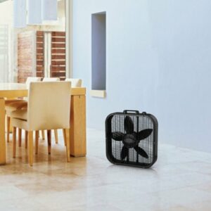 Lasko - 20 in. Dècor Colors Air Circulating Box Fan with 3 Speeds - Black