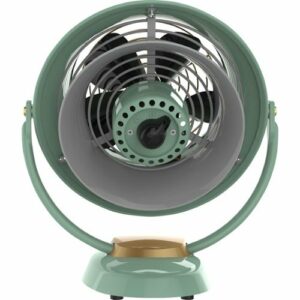 Vornado - VFAN Jr Circulator Fan - Green