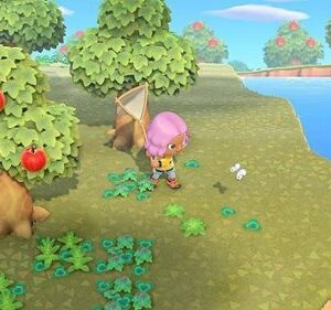 Animal Crossing: New Horizons - Nintendo Switch