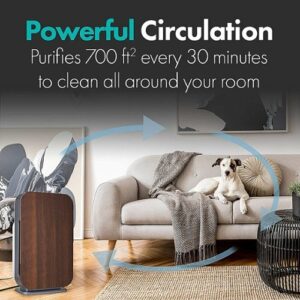 Alen - BreatheSmart FLEX Air Purifier with Pure, True HEPA Filter for Allergens & Dust - 700 SqFt - White