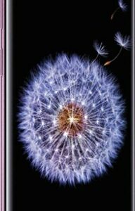 Samsung - Geek Squad Certified Refurbished Galaxy S9 64GB (Unlocked) - Lilac Purple