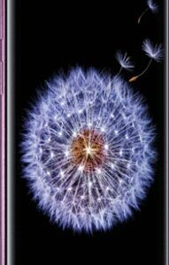 Samsung - Geek Squad Certified Refurbished Galaxy S9+ 64GB (Unlocked) - Lilac Purple