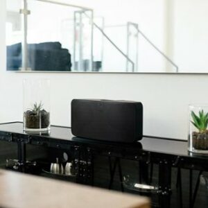 Bluesound - Pulse Mini 2i Hi-Res Wireless Streaming Speaker - Matte Black