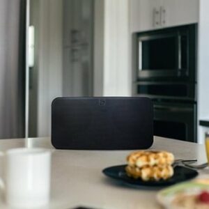 Bluesound - Pulse Mini 2i Hi-Res Wireless Streaming Speaker - Matte Black