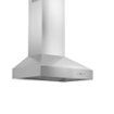 ZLINE - Professional 42" Externally Vented Range Hood - Stainless Steel