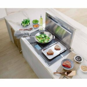 Thermador - Masterpiece Series 30" Telescopic Downdraft System - Stainless Steel