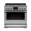 Fisher & Paykel - Professional 4.8 Cu. Ft. Freestanding Dual Fuel True Convection Range with Self-Cleaning - Stainless Steel/Black Glass