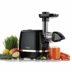 Omega - Cold Press 365 Slow Masticating Juicer - Black