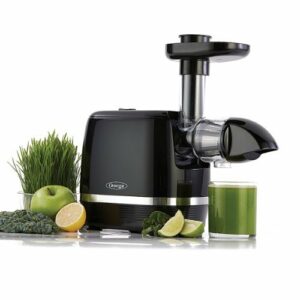 Omega - Cold Press 365 Slow Masticating Juicer - Black