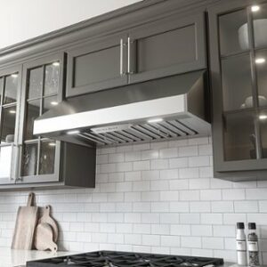 Zephyr - Tempest I 48 in. 650 CFM Under Cabinet Mount Range Hood with LED Light - Stainless Steel