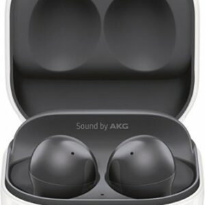 Samsung - Galaxy Buds2 True Wireless Earbud Headphones - Graphite