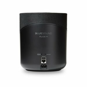 Bluesound - Omni-Hybrid Hi-Res Wireless Music Streaming Speaker - Black