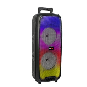 QFX - Rechargeable Bluetooth Portable Speaker with Liquid Motion Party Lights - Black