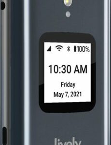 Lively™ - Jitterbug Flip2 Cell Phone for Seniors - Gray